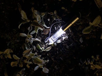 Sphelal Stick W 日本製二合一太陽能手電筒＆迷你燈｜露營・防災・多功能隨身光源